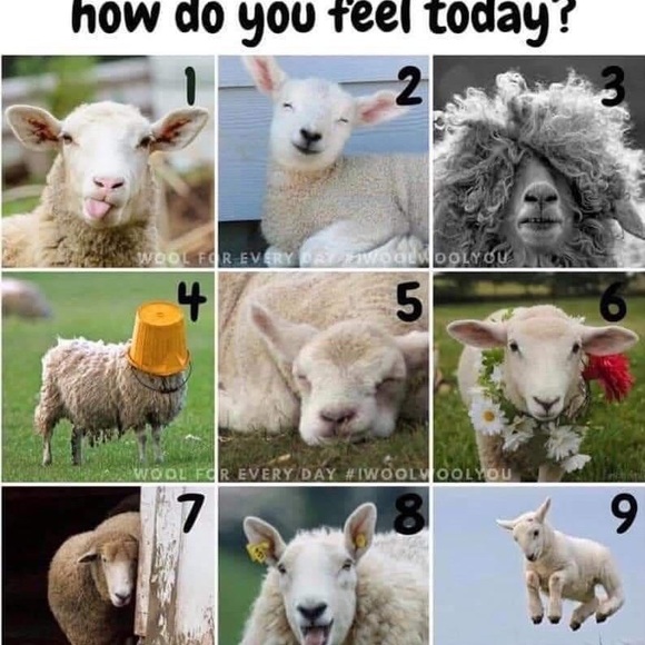 Meet your Posher, Andrea 🕸🥀🕸 - Picture 11 of 11